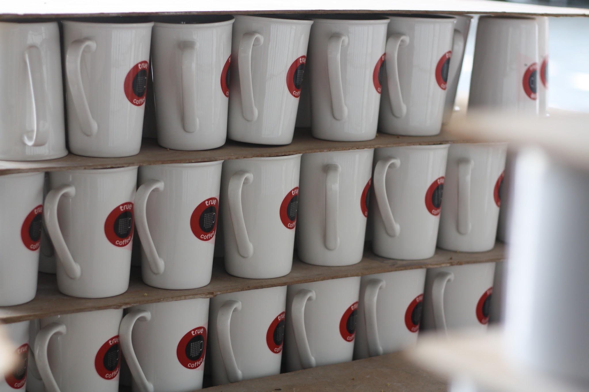 แก้วเซรามิคสีขาวสกรีนโลโก้ True Coffee เรียงบนชั้นในโรงงาน